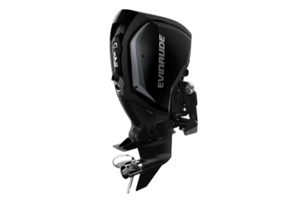 2021 Evinrude C175GLF Outboard Motors