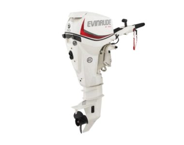 Evinrude E30DTSL E TEC Outboard Motor